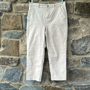 Everlane The Easy Pants Organic Cotton in Canvas Size 16